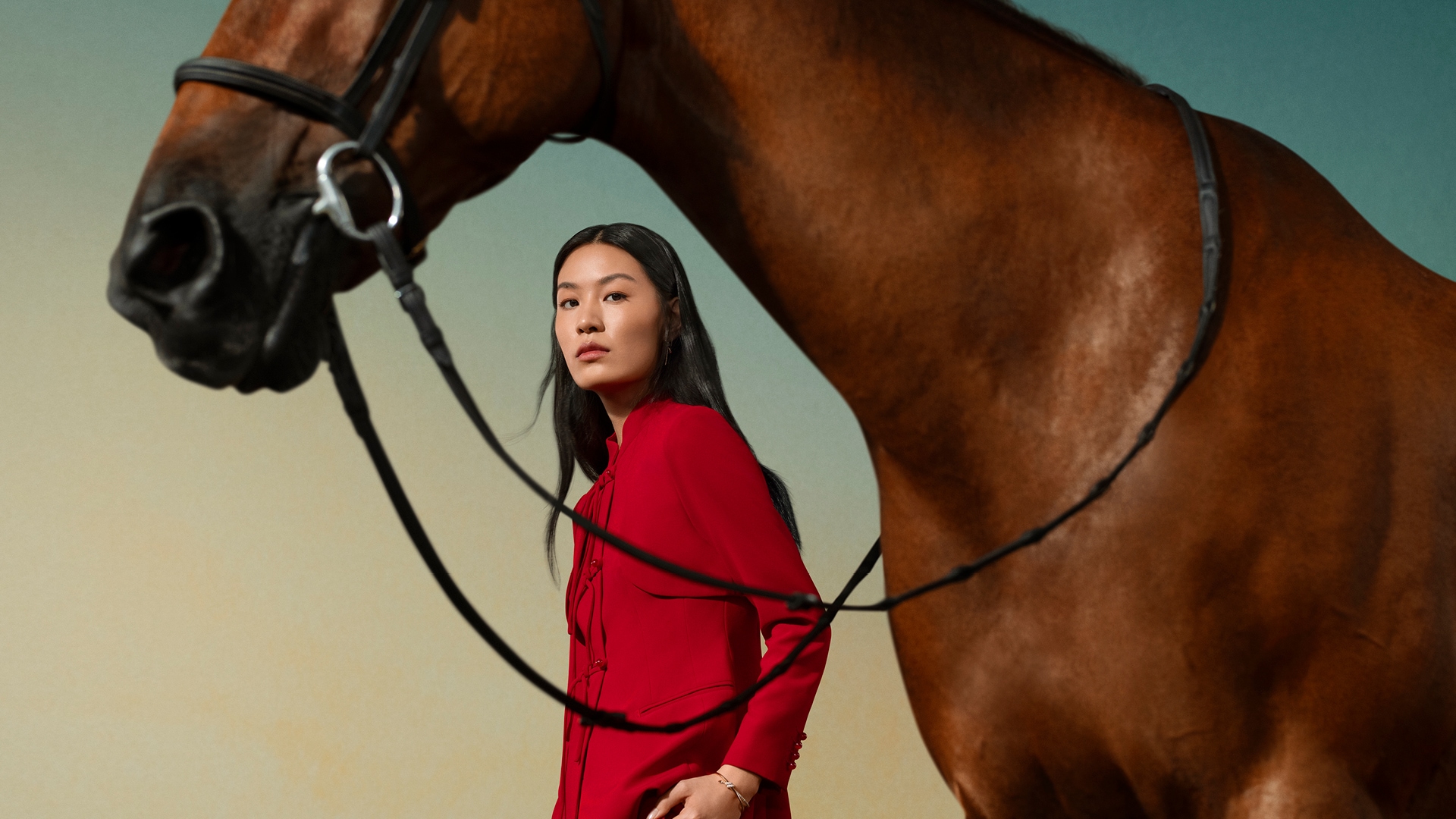 駿馬奔騰賀新年，盡在購物商城