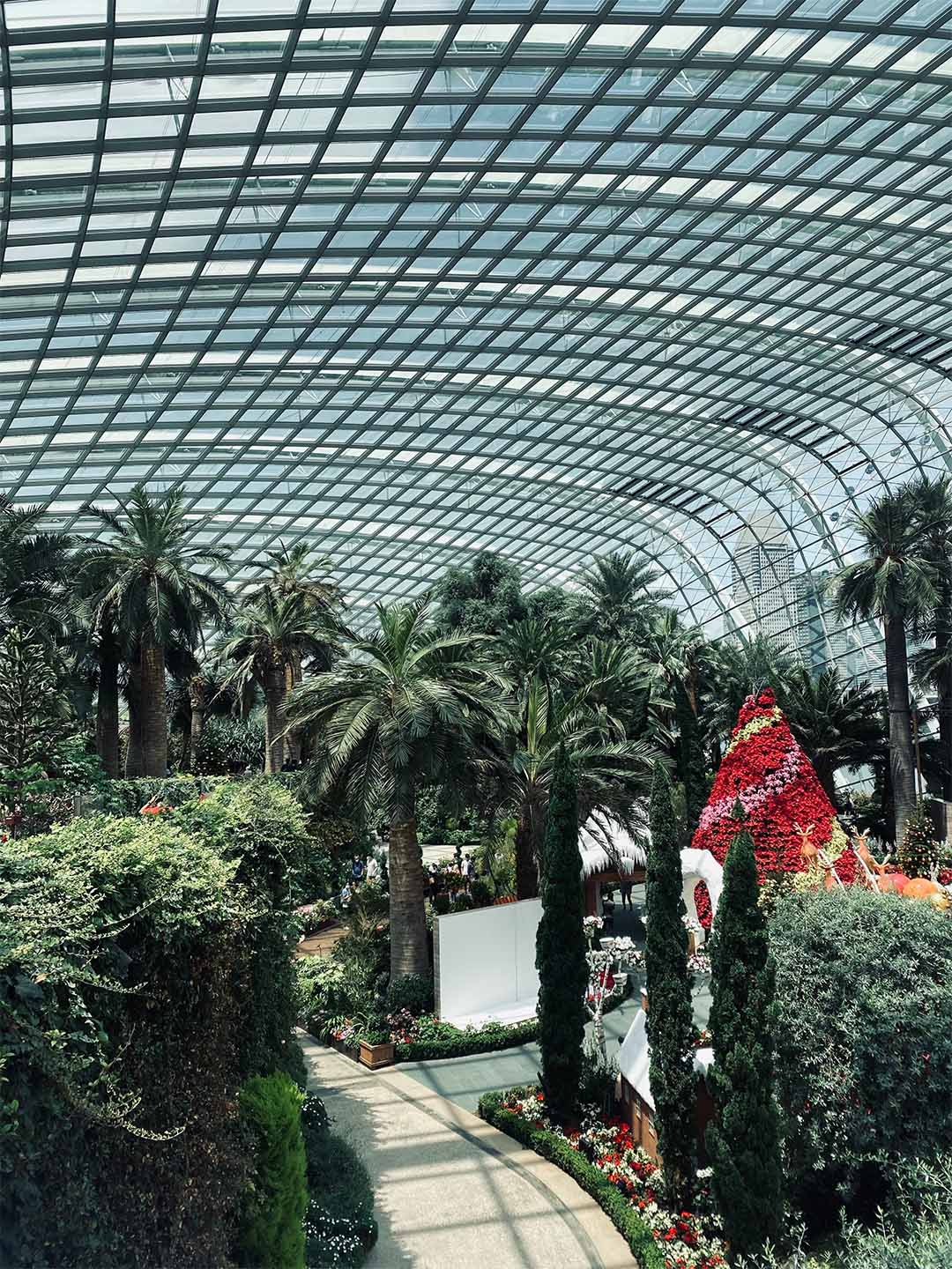鄰近濱海灣金沙的濱海灣花園，花穹內綠意盎然的樹木