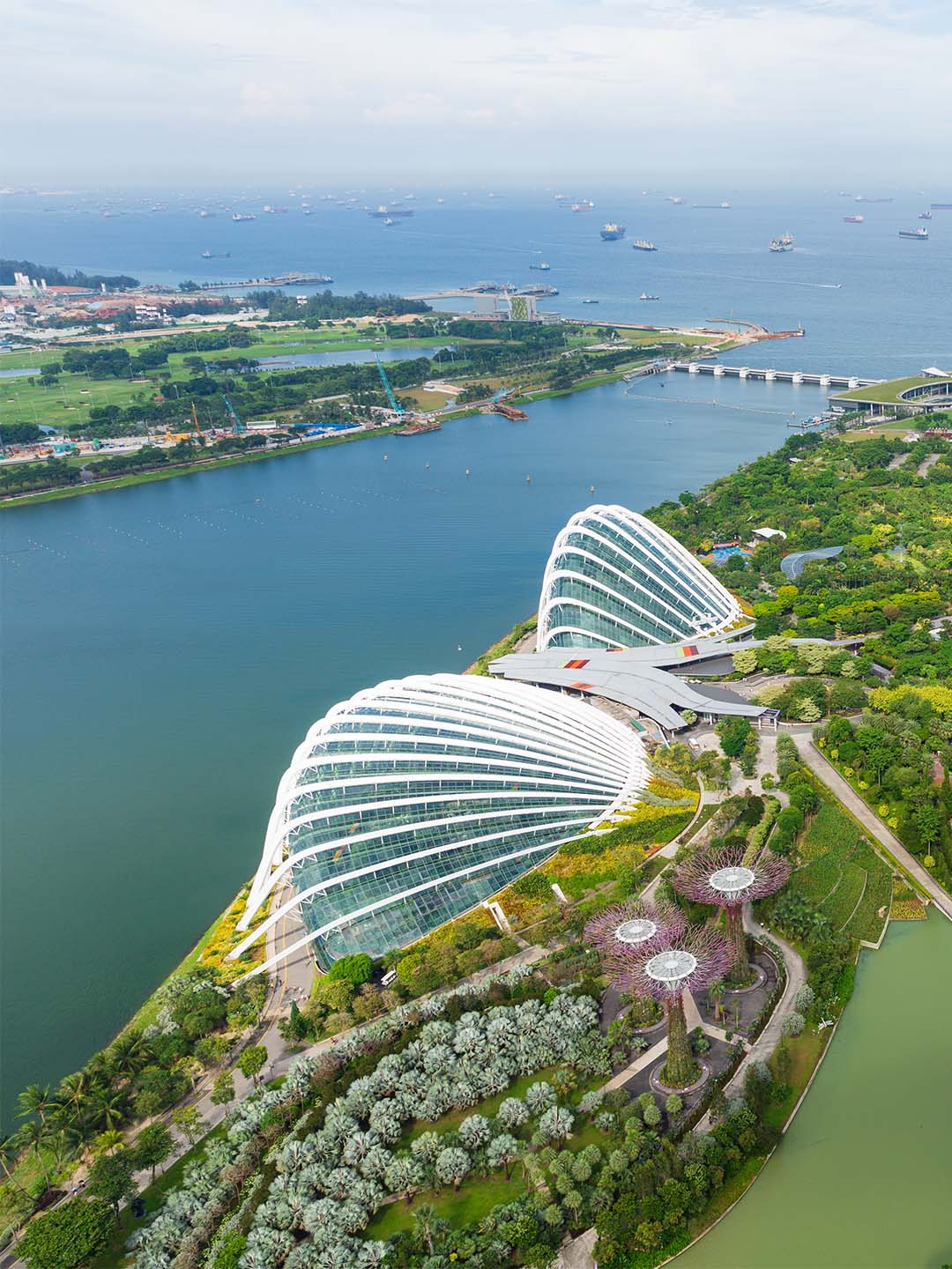 俯瞰位於新加坡濱海灣金沙附近的濱海灣花園穹頂溫室