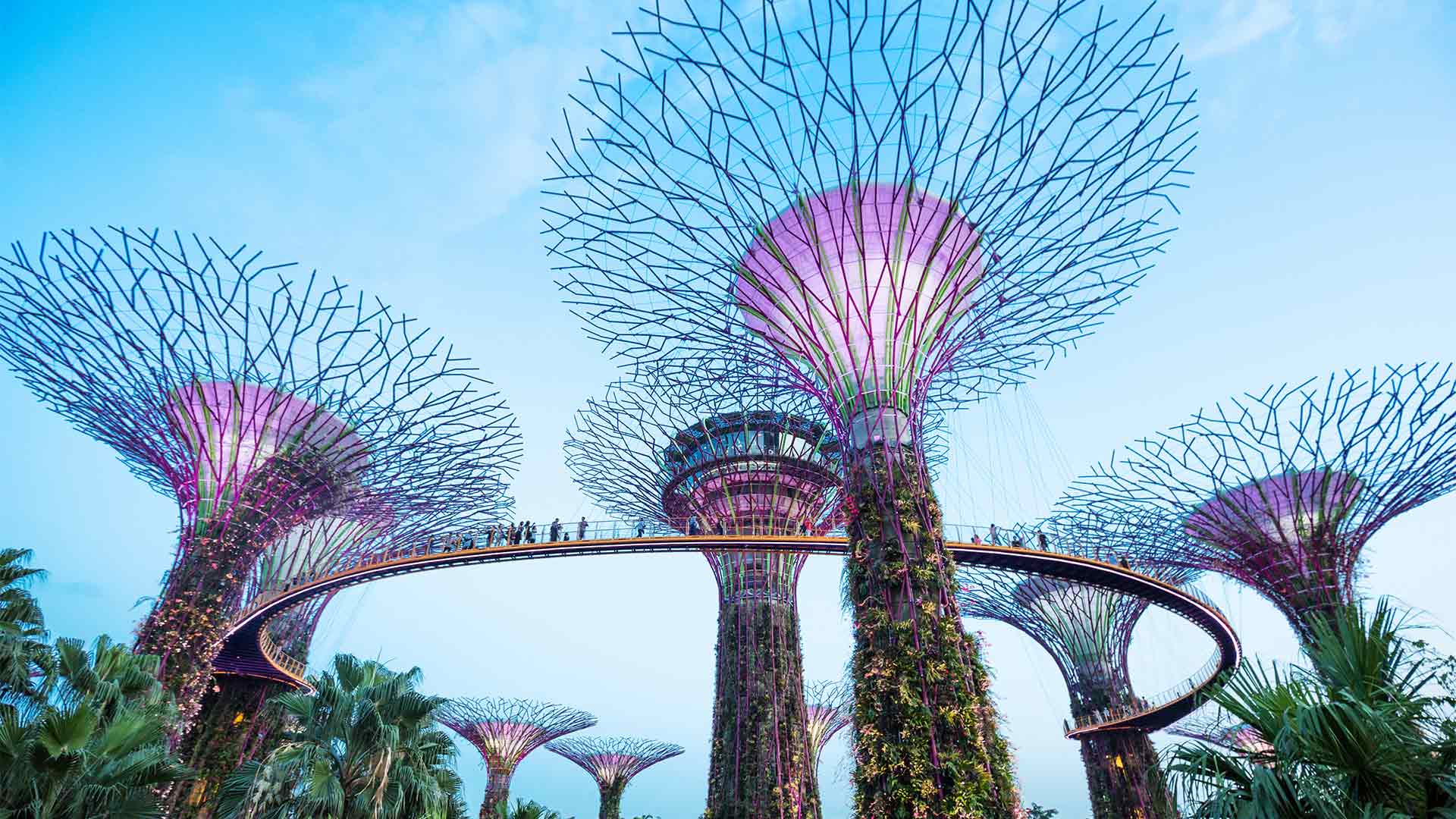 濱海灣花園的華僑銀行空中走道