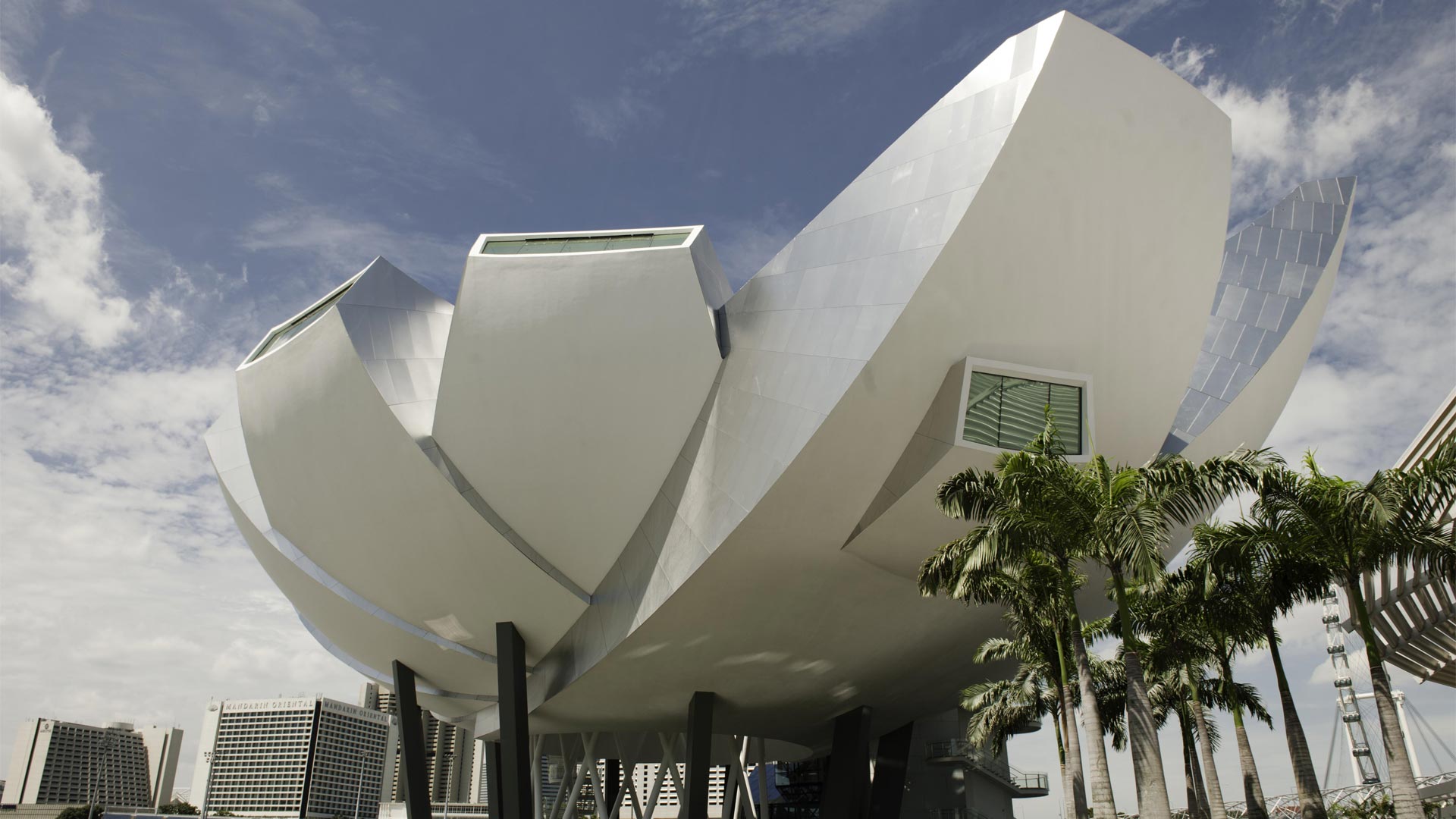 藝術科學博物館的蓮花造型建築為新加坡熱門打卡景點