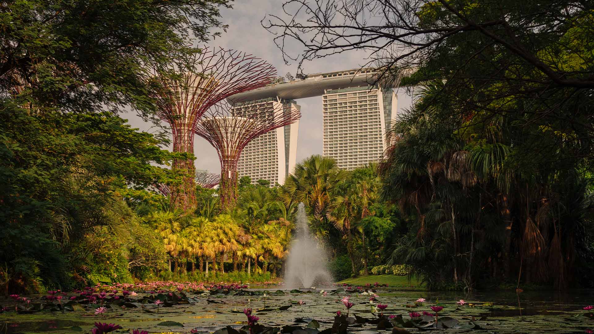 濱海灣花園的擎天樹與花穹，新加坡首屈一指的拍照打卡聖地