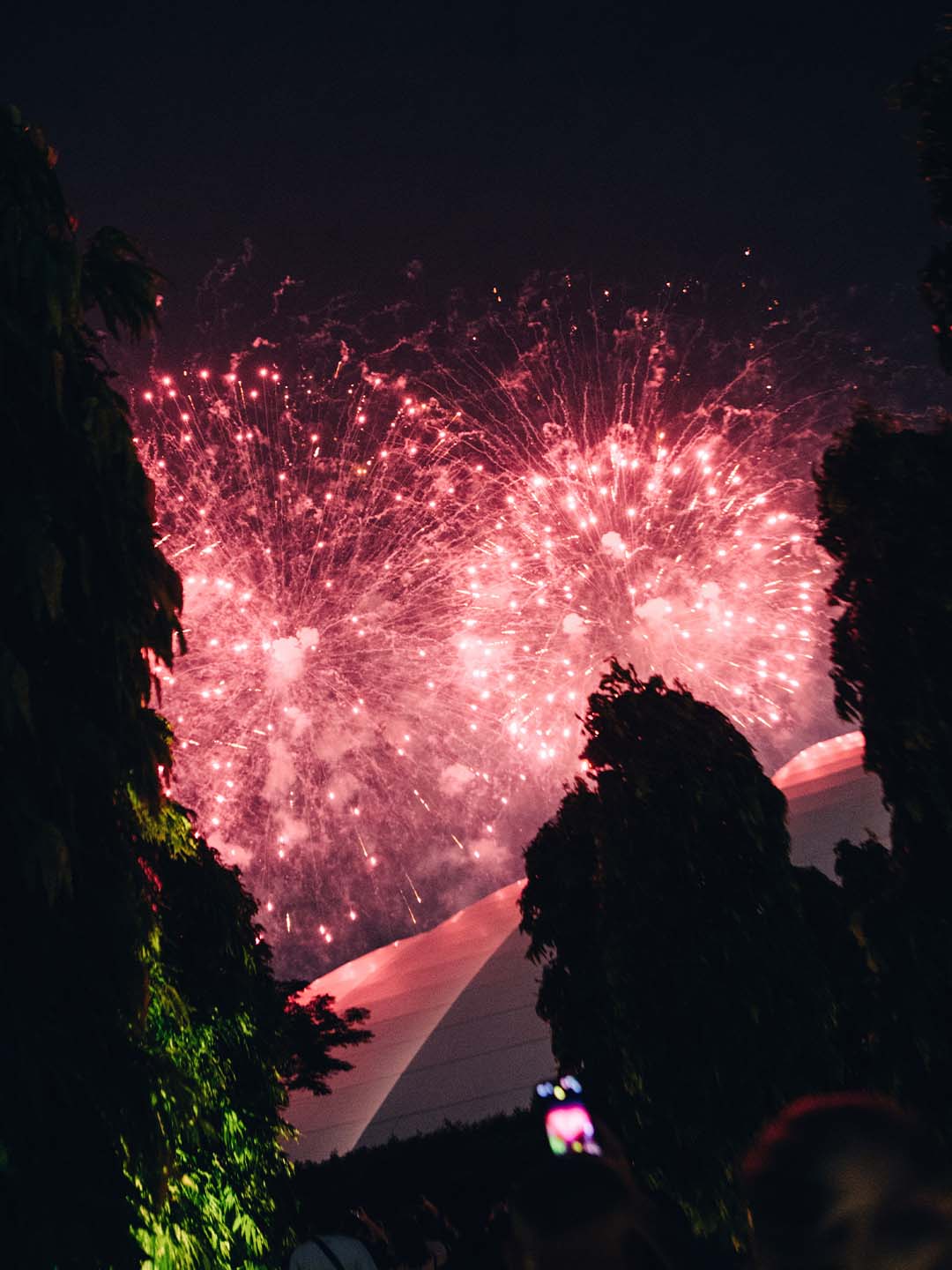 跨年夜煙花點亮新加坡夜空 