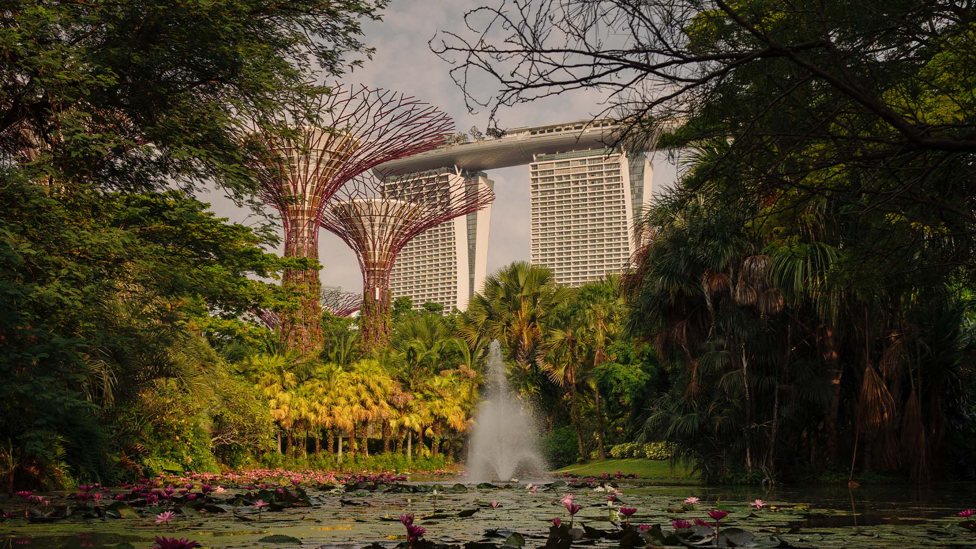 濱海灣金沙的建築美學與濱海灣花園的擎天樹，是您新加坡行程中不可錯過的必訪景點。