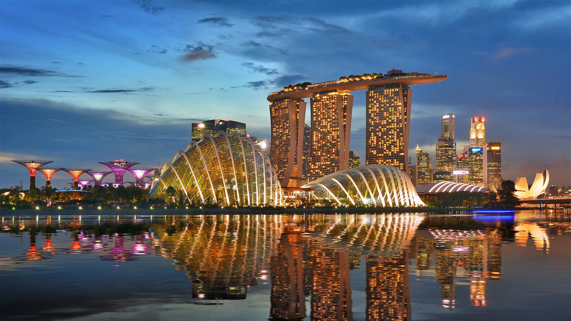 濱海灣金沙，濱海灣花園花型穹頂，新加坡夜景