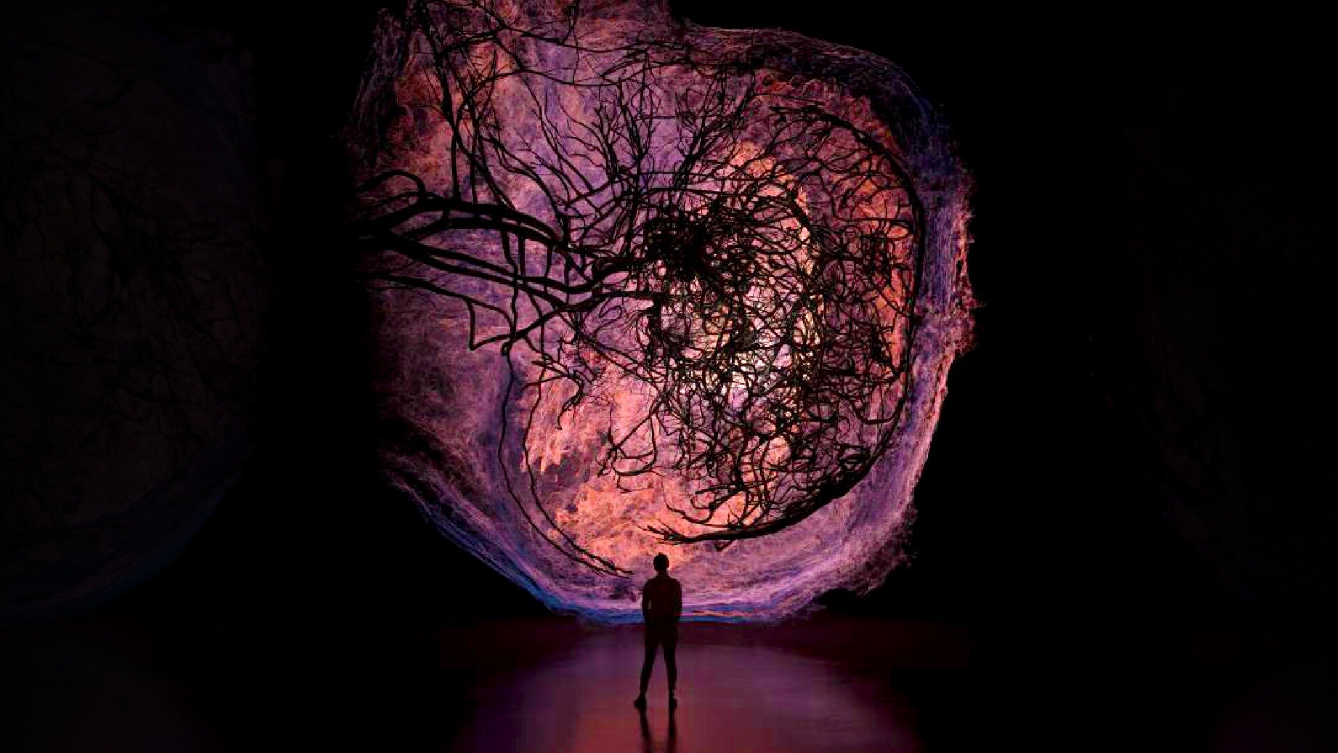 藝術科學博物館內《Flesh and Bones: The Art of Anatomy》展覽的圖片，展示了解剖學展品