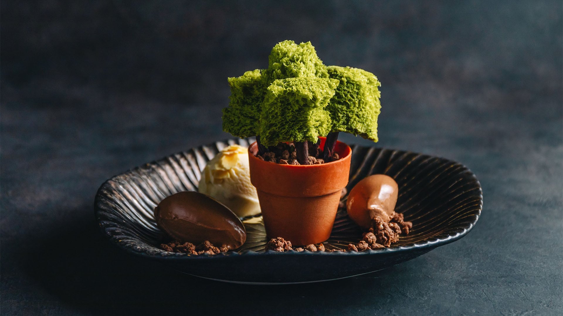 位於新加坡的無菜單壽司餐廳 KOMA 所供應，外觀宛如 Bonsai 的甜點