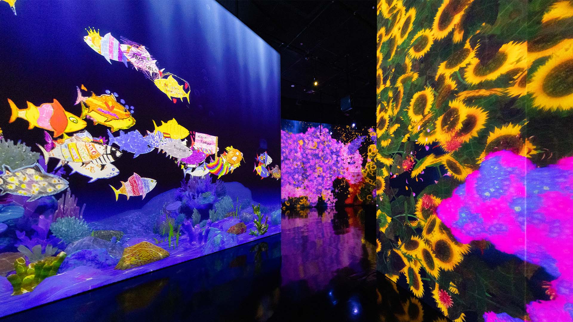 在藝術科學博物館參觀沉浸式展覽，享受愉快的復活節週末活動