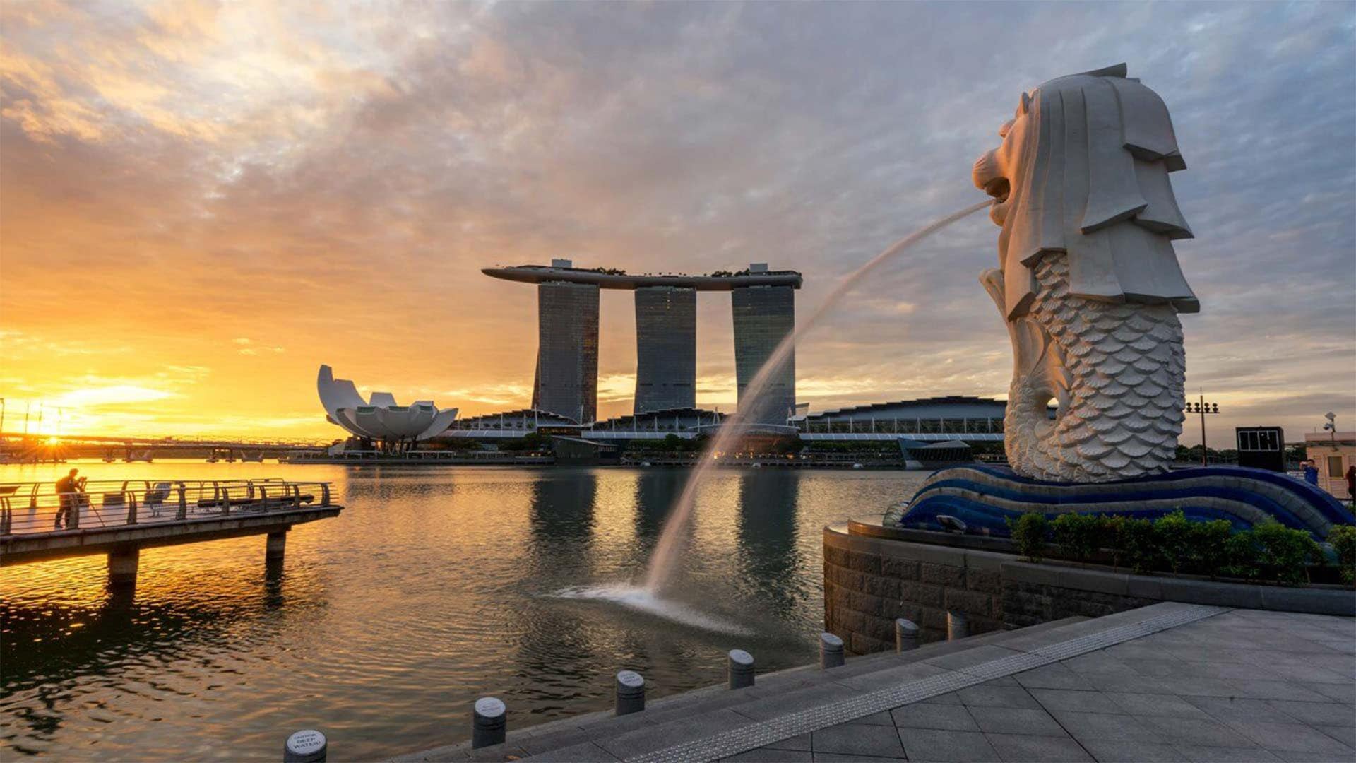 與父親在濱海灣金沙度過一個令人興奮的夜晚，享受充滿樂趣、歡笑和壯觀的景色