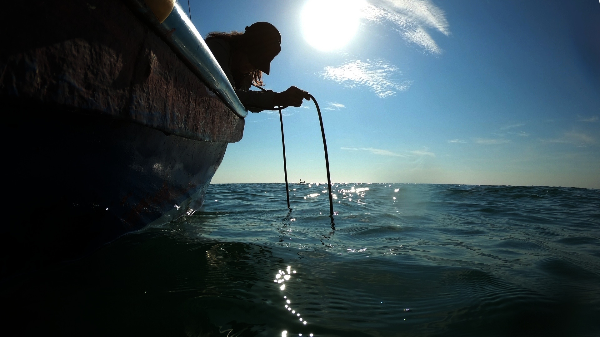 ArtScience Encounters: Rising from the Twilight: Underwater by Jana Winderen