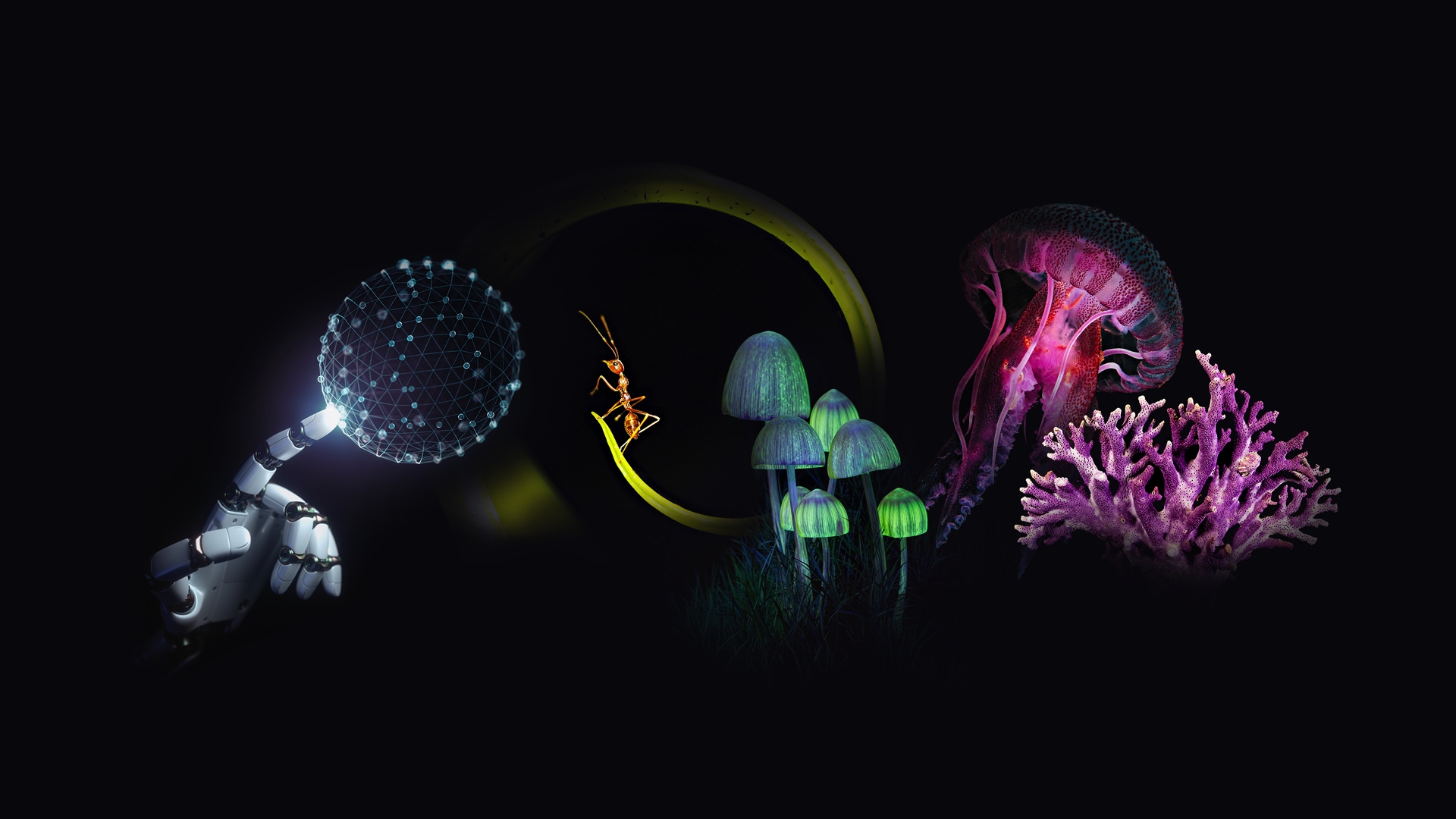 Forms of Life: Beyond the Human