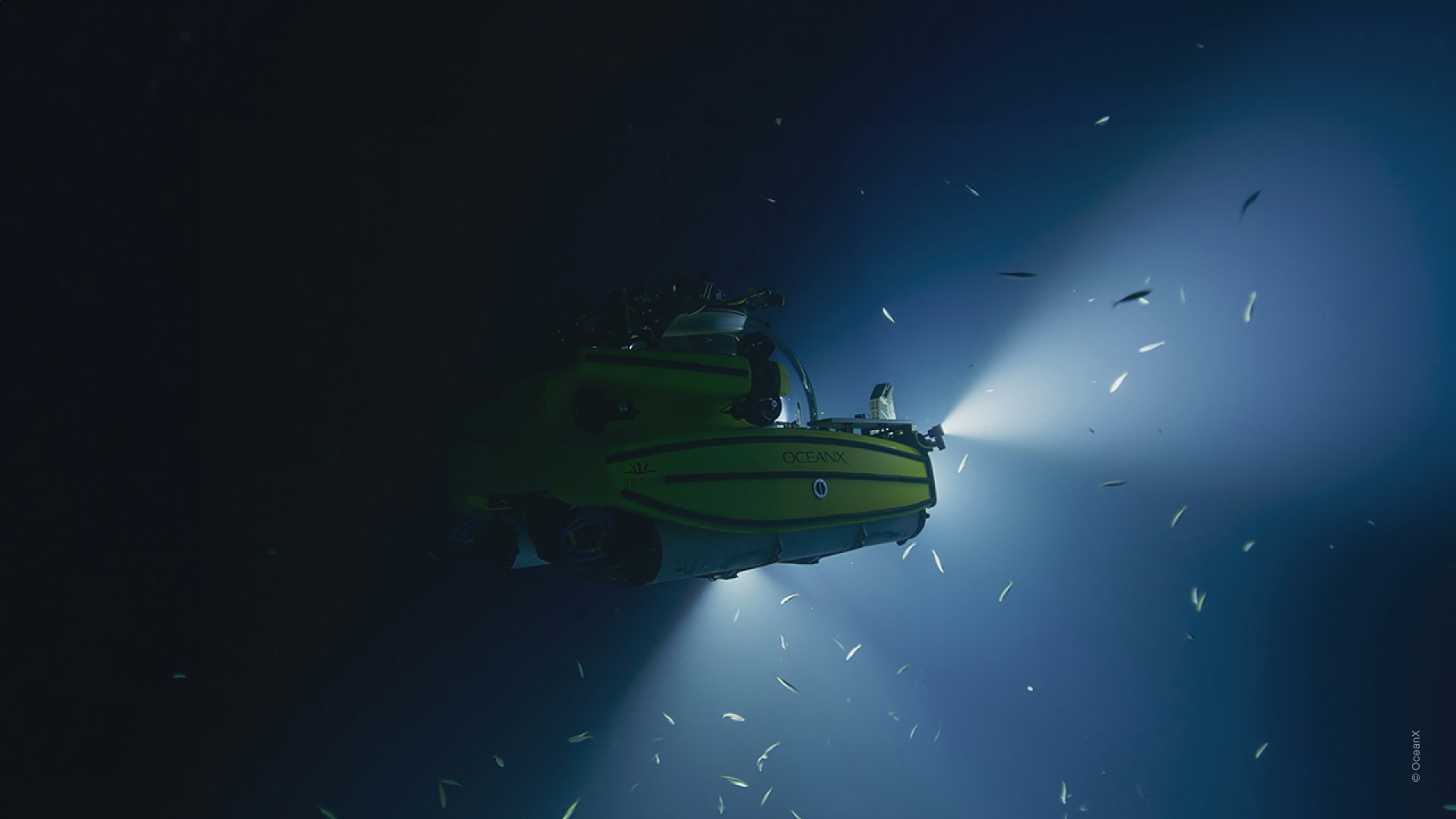 Into The Ocean: Journey Beneath