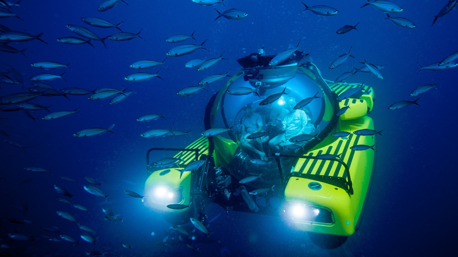 From the Deep: New Ways of Knowing the Ocean