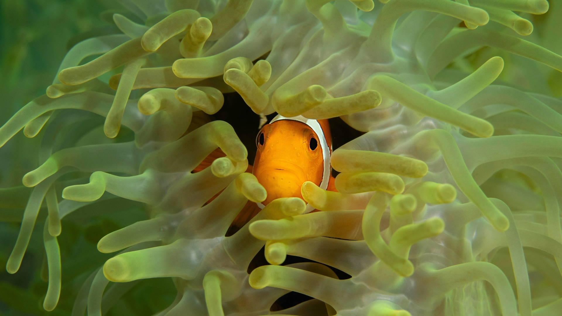 Ocean Futures Youth Forum