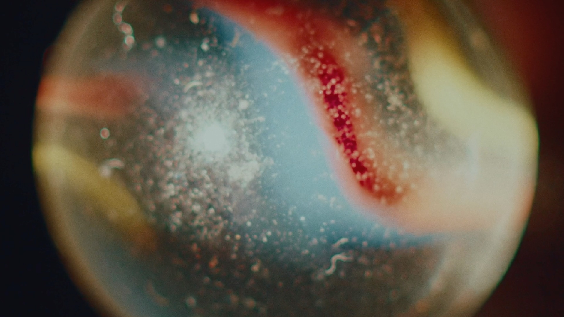 Harakiri (2023) by Dagomir Kaszlikowski