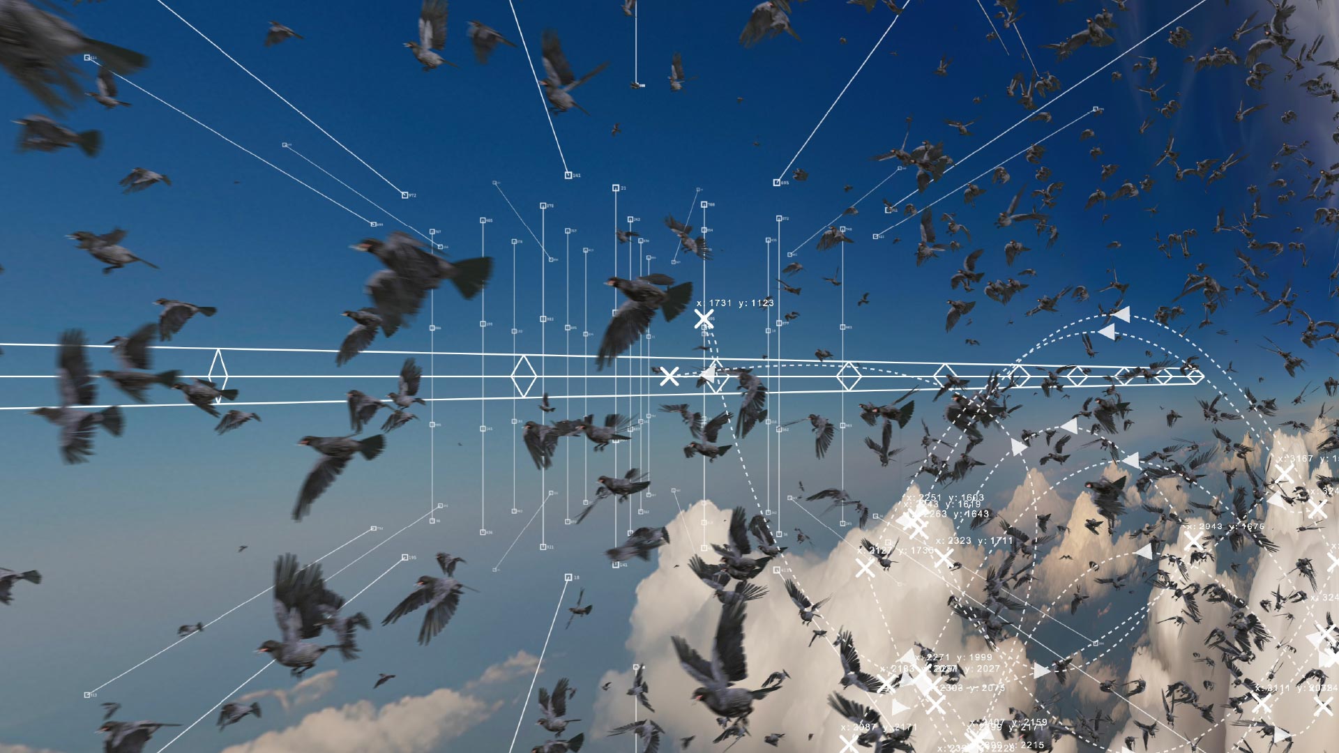 Migratory Parameters, 2025 