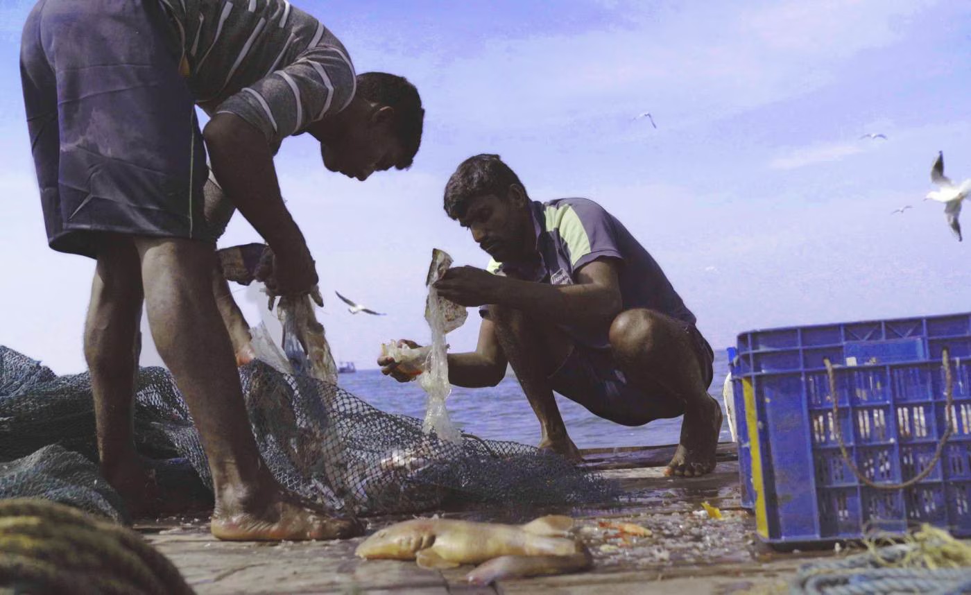 Against the Tide (2023) by Sarvnik Kaur | 97min| PG13 (Some Coarse Language) | Hindi with English subtitles