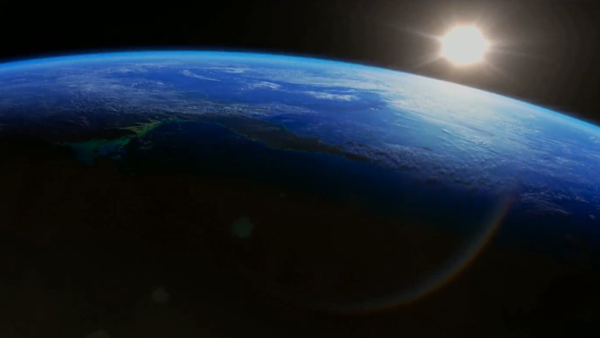 David Attenborough's First Life