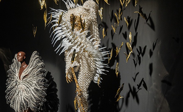 新自然（New Nature）