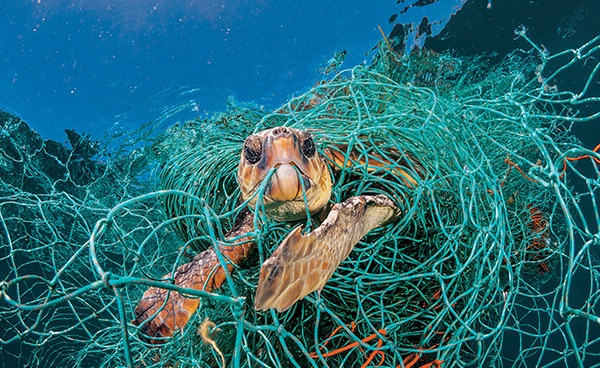 展區 2：塑料的幽暗面