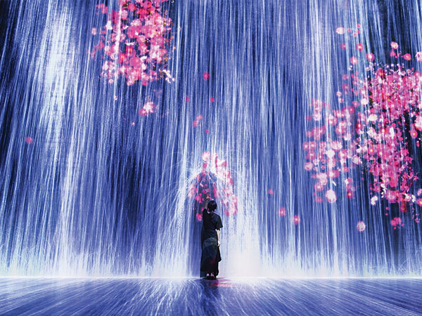 藝術科學博物館優惠