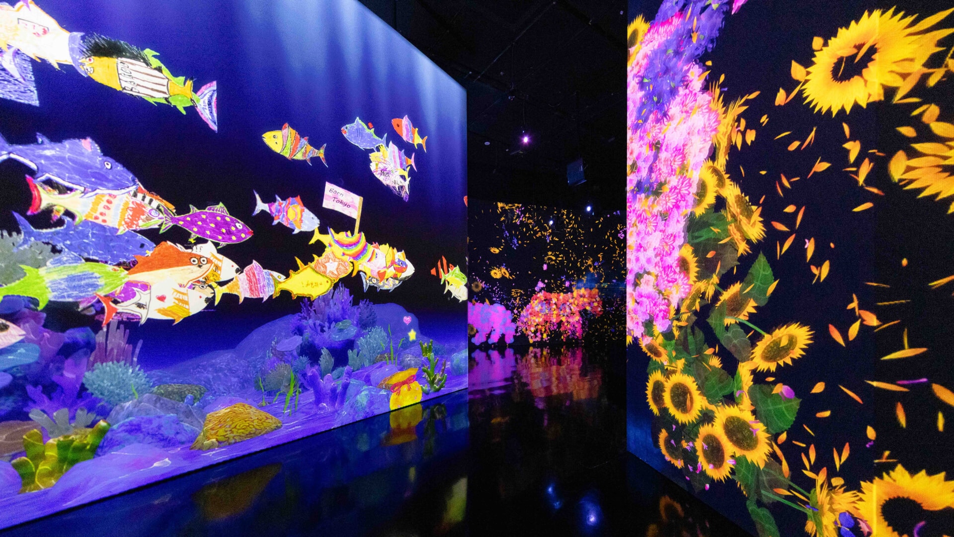 藝術科學博物館「超躍未來」