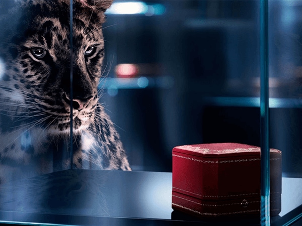 新加坡購物折扣