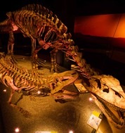 Dinosaurs Dawn to Extinction exhibit at ArtScience Museum