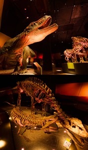 濱海灣金沙展出的《恐龍時代：由孕育到絕種》展覽