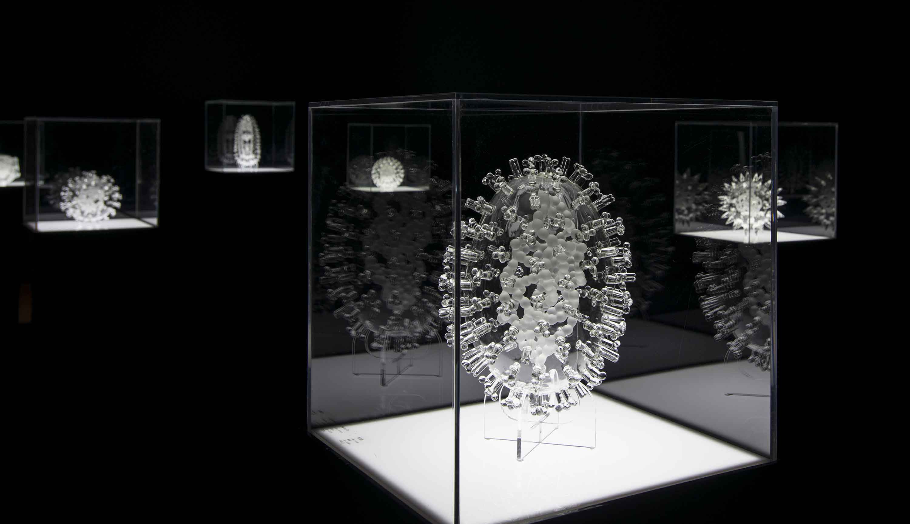 Luke Jerram《玻璃微生物學》2014 展廊圖片