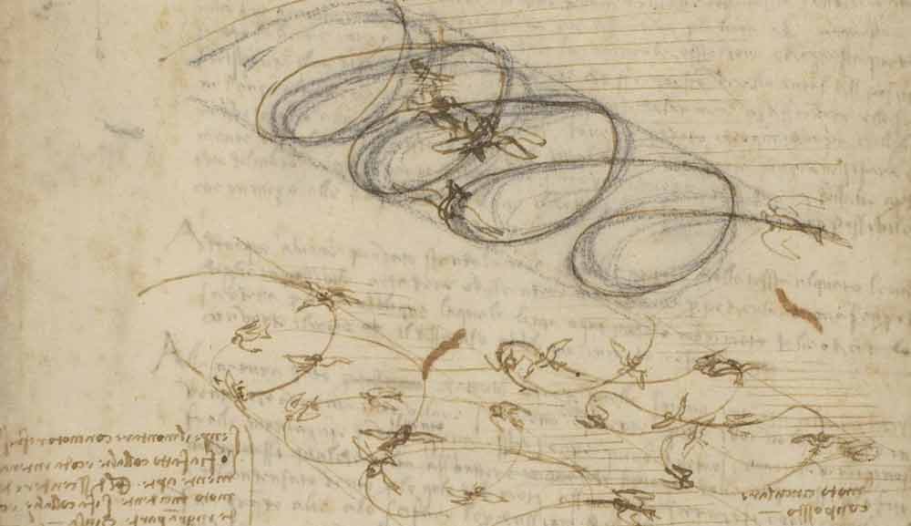 鳥類飛行研究，創作於 1505 年—達文西《大西洋手稿》(Codex Atlanticus) F.845 右頁