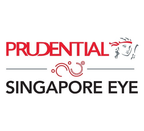 新加坡 Prudential Eye 展覽標誌