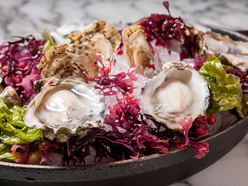 Oyster Hour Specials - db Bistro & Oyster Bar