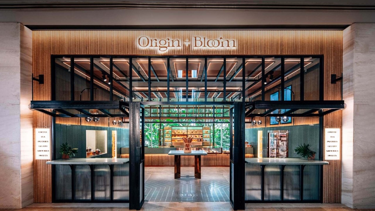 Origin + Bloom